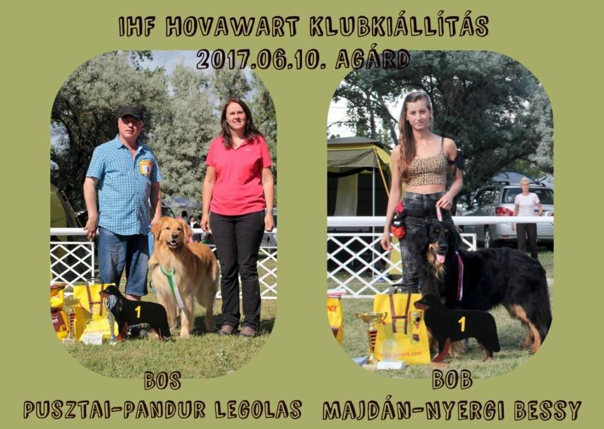 2018 év Rendezvények 2018 IHF HOVAWART kiállítások: 2018.05.06. Tata, Hovawart CAC Klubkiállítás, Bíró: Kirsten Wesche ((D) 2018.10.20. Komárom, Hovawart speciál CAC kiállítás, (CACIB rendezvény helyszínén) Klubkiállítás Eredménye: Agárd.