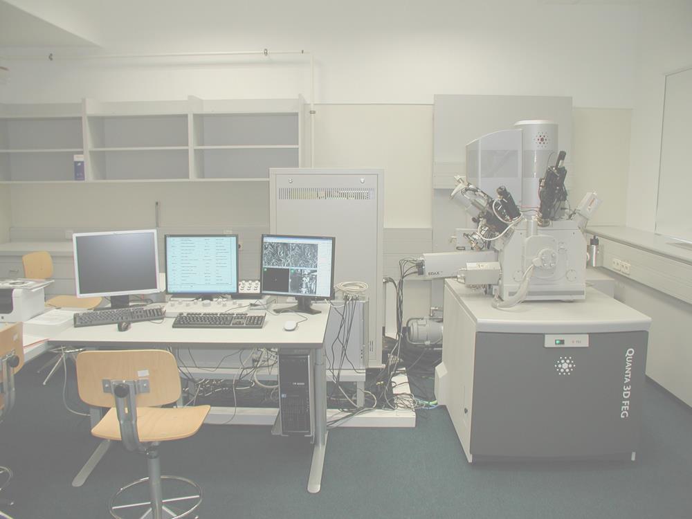 FEI Quanta 3D SEM/FIB
