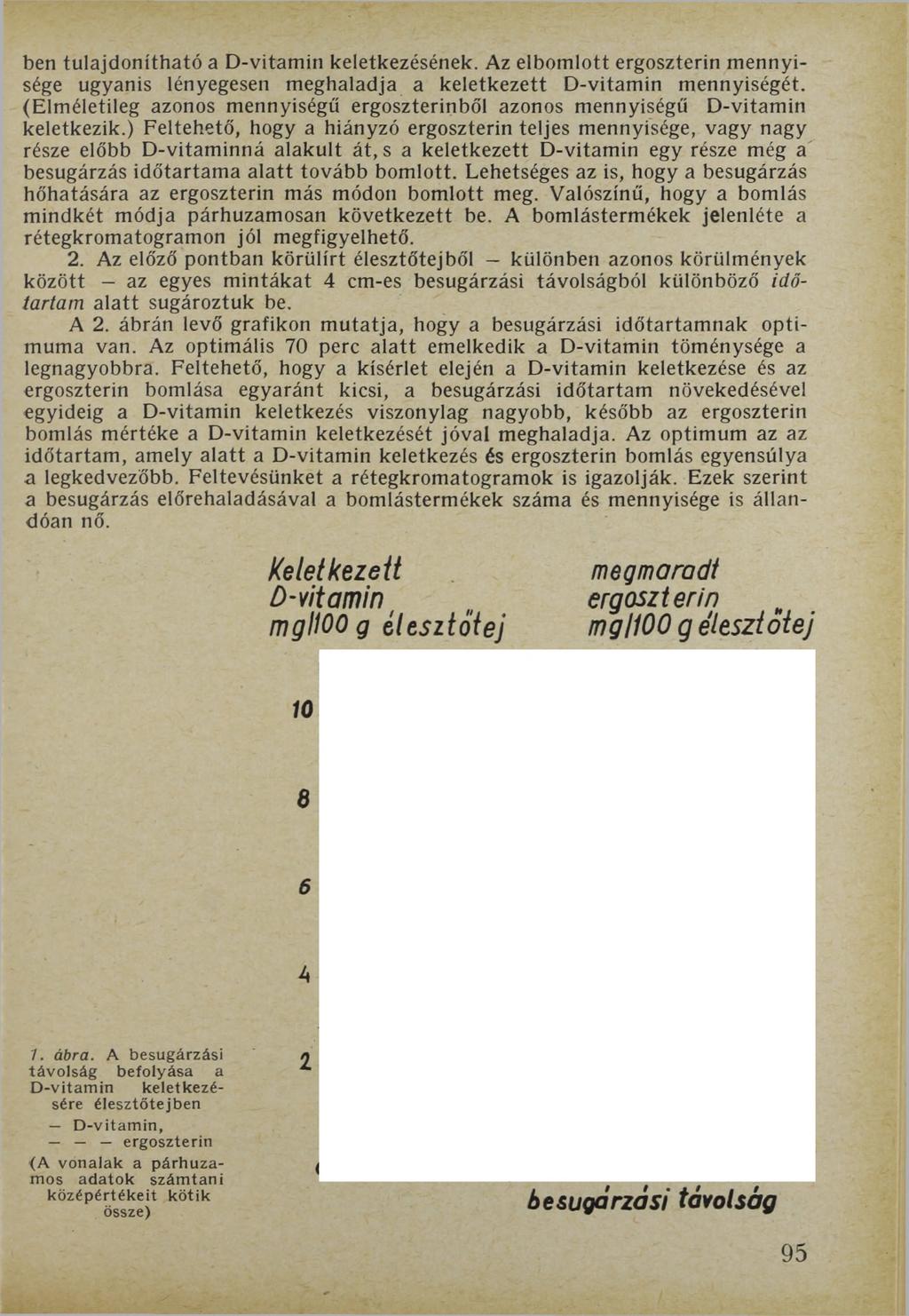 ben tulajdonítható a D-vitamin keletkezésének. Az elbomlott ergoszterin mennyisége ugyanis lényegesen meghaladja a keletkezett D-vitamin mennyiségét.