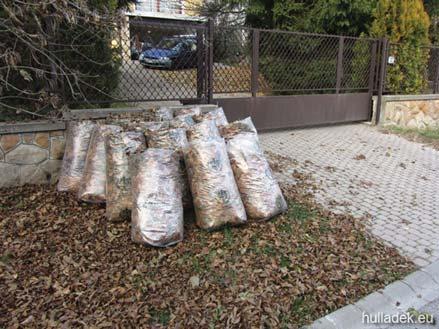 háztartásukban keletkező zöldhulladékot kirakhatják a közterületre, mert onnan úgy is elszállítják.
