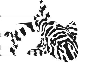 , Tomáš a Mirka Kučerovi Ährenfischartige (Atheriniformes) Madagaskar Regenbogenfische (Bedotiidae) Rotgeschwänzter Ährenfisch Bedotia geayi 38 Kč Regenbogenfische (Melanotaeniidae) Blehers