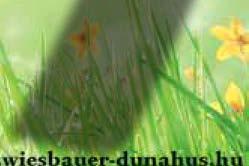 PREMIUM SACHER