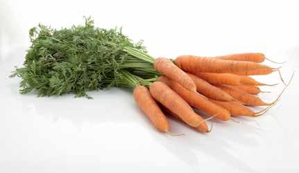 MAG NÉLKÜLI FEHÉR SZŐLŐ*** (798 /1 kg)
