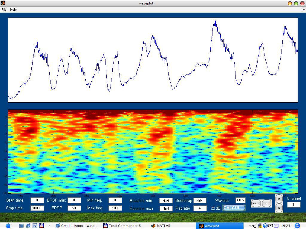 WavePlot displays the current time-frequency map of a continuous signal stored in a Neuroscan CNT format file.