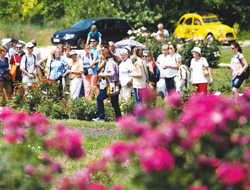 Kedves Olvasónk, következő kiadványunk a zöld Budafok-Tétényt
