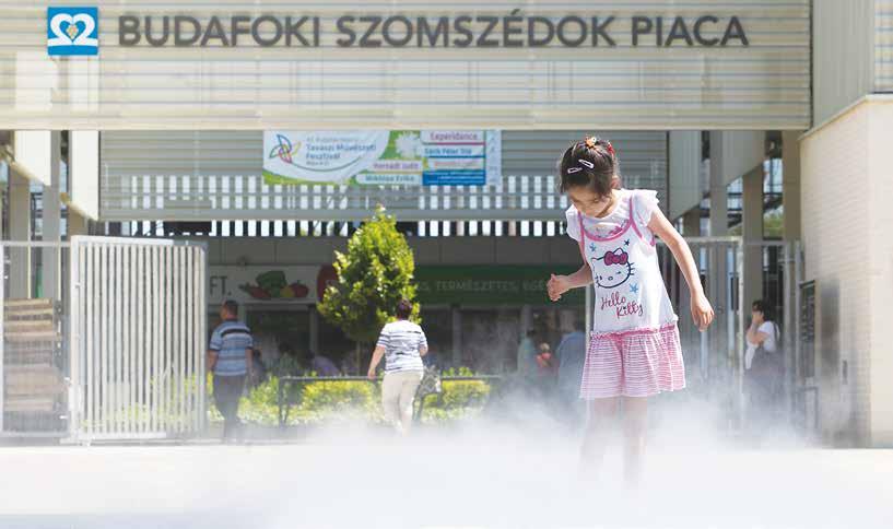Szieszta Pont A volt mozi romos, kihasználatlan épülete évtizedek óta áldatlan állapotokat okozott Budafok belvárosában, rontotta a városképet, köztisztasági és közbiztonsági problémákat is okozva.