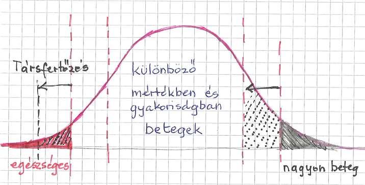 ALAPFOGALMAK A LYME FERTŐZÉS MODELLJE A BETEGSÉG ÉS EGÉSZSÉG DIALEKTIKÁJA A LYME FERTŐZÖTT BETEGEK MEGOSZLÁSA: Gauss-görbe - kevés az egész életében egészséges maradó - sok a változó de nem jelentős