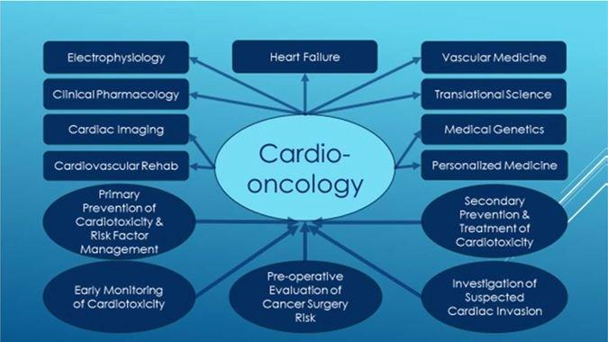 Precision cardio-oncology: understanding the cardiotoxicity of