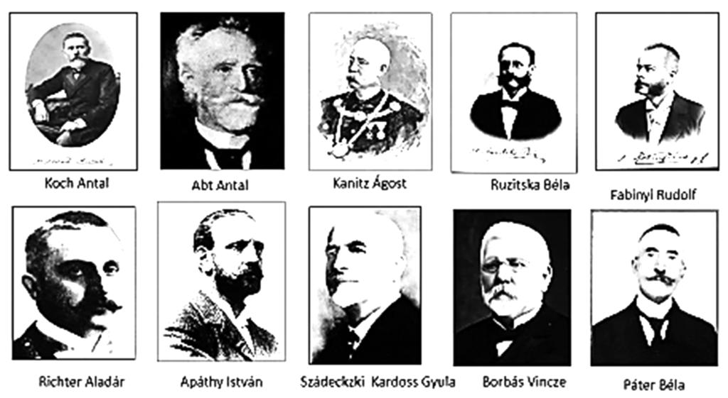 A gyógyszerészképzésben részt vett tanárok a