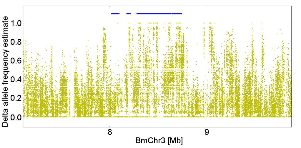 Supplementary Figure 2 Plot of delta-afe values zoomed into the genome region on BmChr3 containing the most significant cluster of genetic