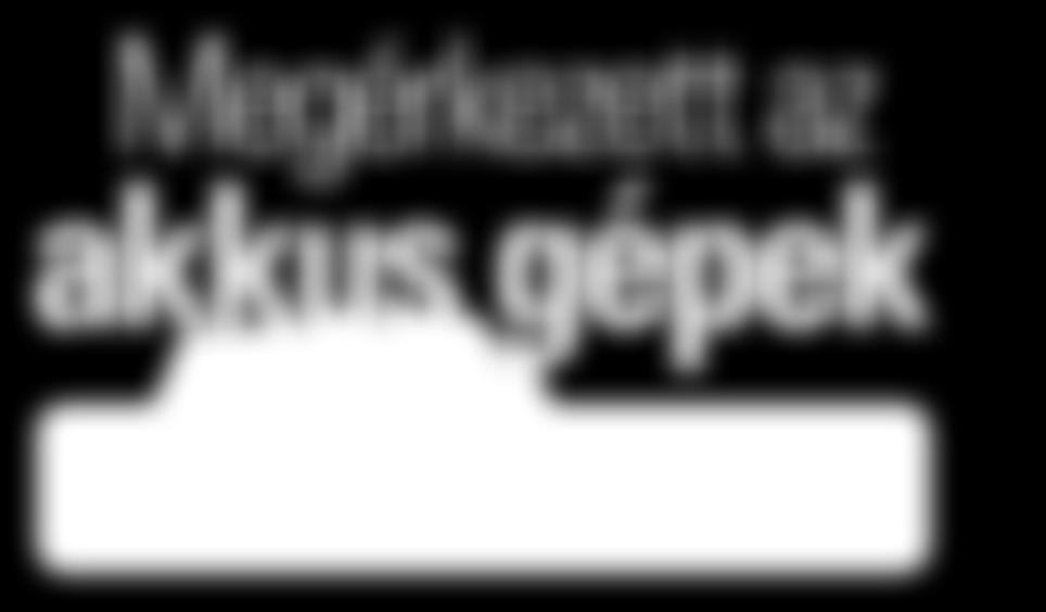 érzésem támadt, mintha évek óta velük dolgoznék.