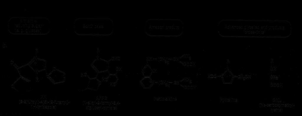 H fehérje + redukáló cukor Schiff bázis Amador i terméke