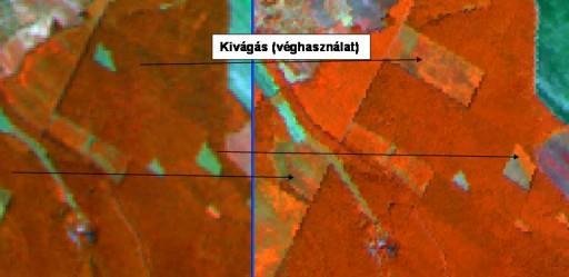 Két időpontban történt adatgyűjtés felhasználásával (műholdas képek) kimutatható a privatizáció előtti és utáni állapot, valamint a területi változások.