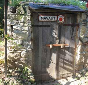 láthatóak, így hozzájárulnak Vereb egyedi