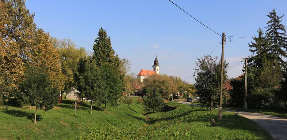 2. VEREB BEMUTATÁSA Befogadó település Vereb 829 fős kicsi település, hatalmas vendégszeretettel.
