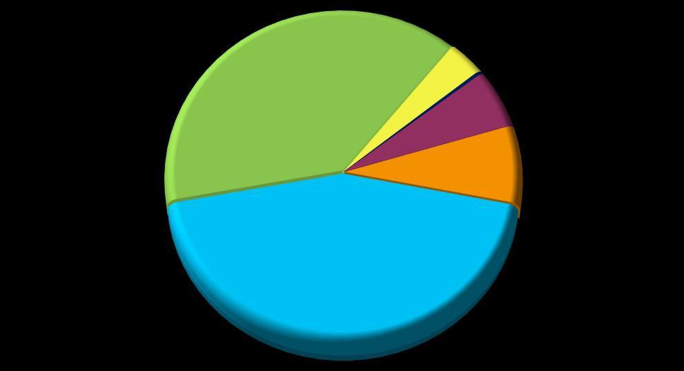 619 Ipari tevékenység 27 546 Építőipari tevékenység 520 135 Egyéb tevékenység 689 783 Másodlagos tevékenység összesen: 1 547 083 Mindösszesen: 8 997