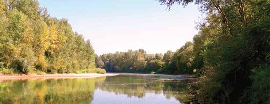 The area of operation of Felső-Tisza-vidéki Vízügyi Igazgatóság (Upper Tisza Region Water Management Directorate) is bordered by three countries in the eastern part of Hungary and, with slight