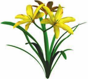 Flower donations will also be accepted at the parish office. St. Angela Merici MASS INTENTIONS () denotes living Saturday, June 2 Lawrence J. Derbes Sunday, June 3 4:00 p.m.