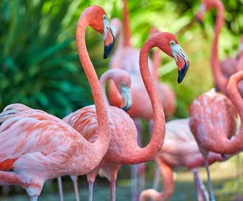 A megérkezést követően transzfer a szállodába. Szállás Cancún városban. 2.