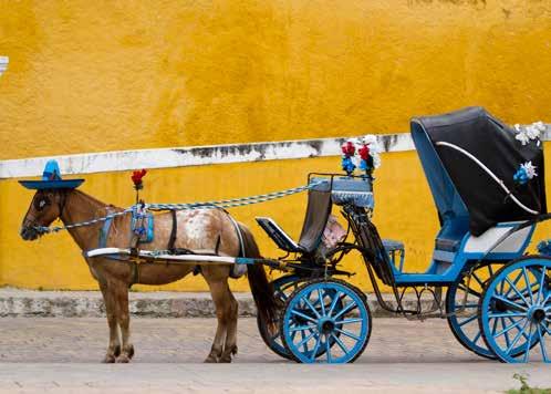 Izamal A maják páratlan tudással, kifejlett csillagászati, matematika és építészeti ismeretekkel rendelkeztek. életébe nyerhet bepillantást az utazó.