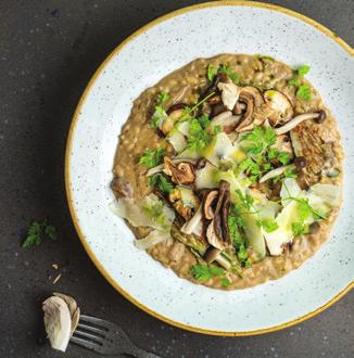 turbolya, parmezán Risotto With Forest Mushrooms, chervil, parmesan 2790 Ft