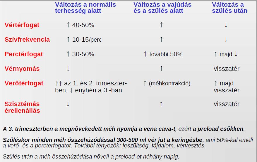 Hemodinamikai változások