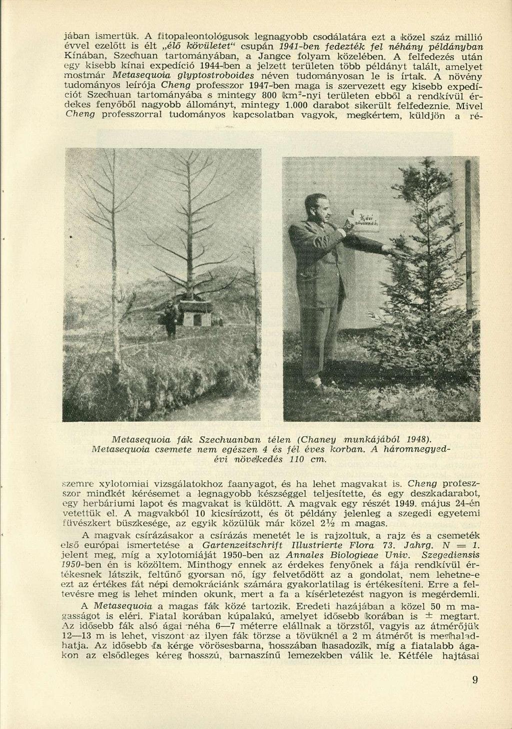 jában ismertük.