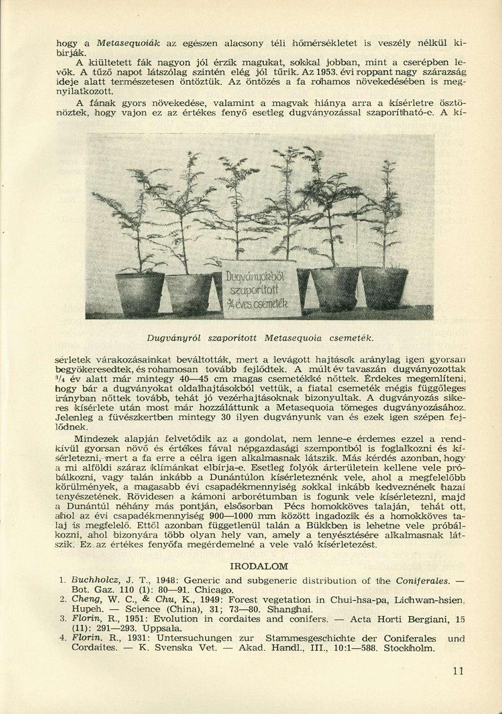 hogy a Metasequoiák az egészen alacsony téli hőmérsékletet is veszély nélkül kibír jálk. A kiültetett fák nagyon jól érzik magúikat, sokkal jobban, mint a cserépben levők.