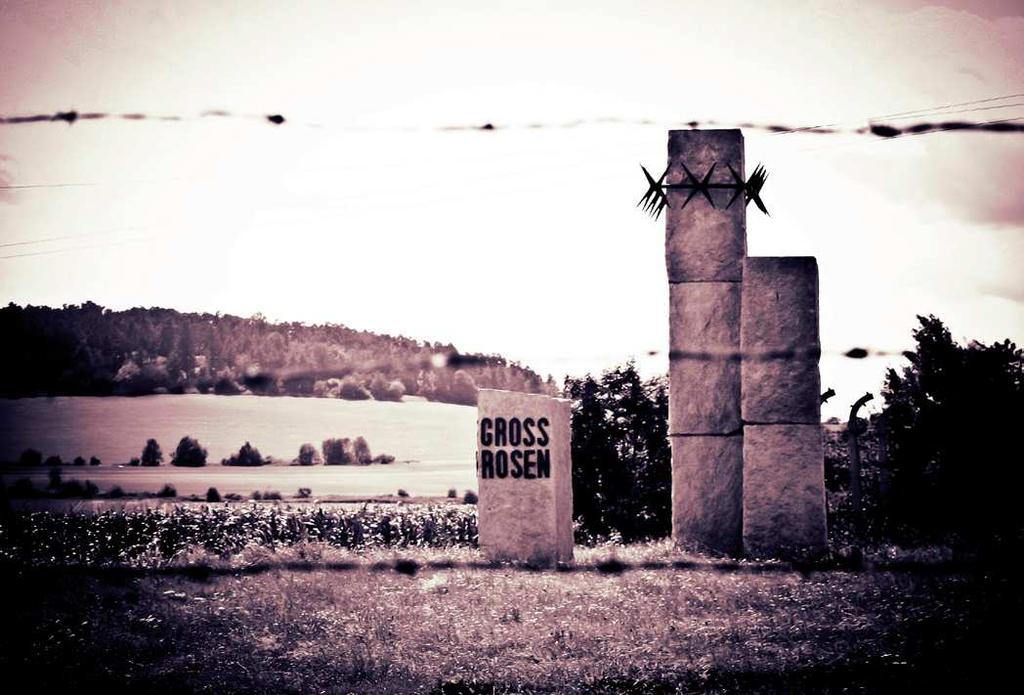 ¾YWY¾Á]dÂXÅ Æ Çœ ž ŽŒœš ž ªŒ Ÿ È Ÿ ž Ž Æ ÉœŒ ž ŽŒœš ž ªŒ Ÿ È Ž œ «œœ Ž š š²œ³ š Œ ŽŒ š ³ž «š ¼ ž U_Á]¾dX]Å `UVWX[c Æ «Ÿ Ÿ šž œ ²Œœš Æ µžœÿ ž š µœ Œª¼ È Ÿ œ «ž œ œš ÍU[_]Î_Å ËXÀY_ÌÁÅ ÊY[c Æ ž š žž Ž š
