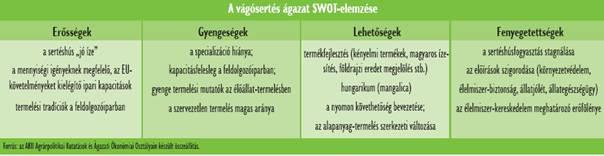 Technológiai fejlesztések Minıségi tenyészanyag Hagyományos piacainkon a pozíciónk megtartása, lehetıség szerint