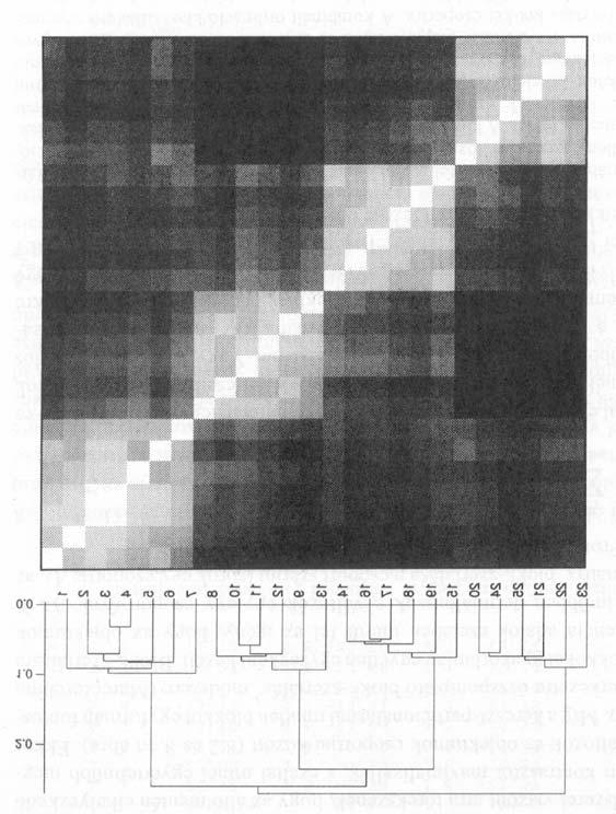 296 8. fejezet 8.7 ábra. A 4.3 ábra pontjai között számolt távolságmátrix átrendezése és árnyékolása az objektumok egyszerû lánc-módszerrel történt hierarchikus osztályozásával (5.6b ábra).
