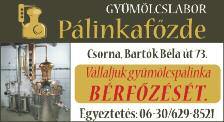 7 Ingyen lomtalanítást vállalnék, lakások, pincék ürítését, takarítását, megegyezés szerint. 0670/426-5043.