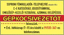 06-30/2379-845 Németh és Németh Kft. Gipszkartonos és szobafestő munkatársat felveszek hosszú távra.
