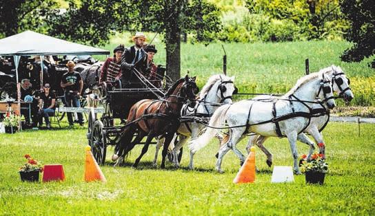 korcsoportban fölényesen lett aranyérmes, míg Paricska Lara ugyanebben a korcsoportban az 5. helyen végzett összesítésben.