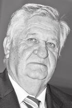Ezt követően a Tolna Megyei Önkormányzat főjegyzője lett, 2003-tól 2006-ig Szekszárdon volt ügyvéd. 2006-ban Tolna polgármesterévé választották.
