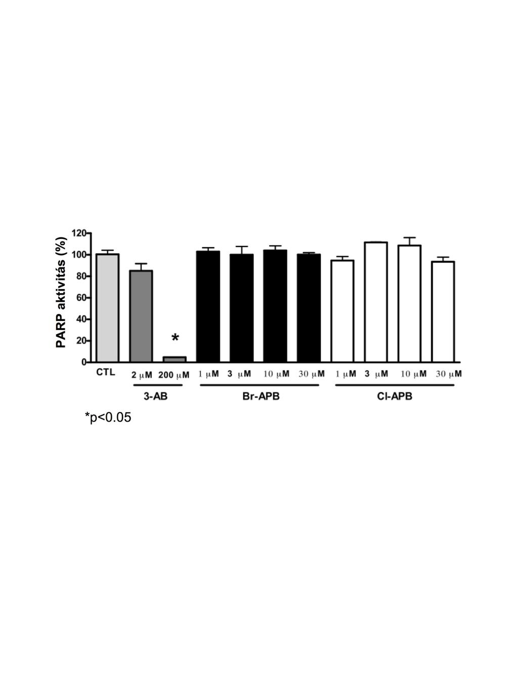 1. ábra. Kloro-APB hidrobromid gátolta a PARP aktiváció mértékét sejtes környezetben.