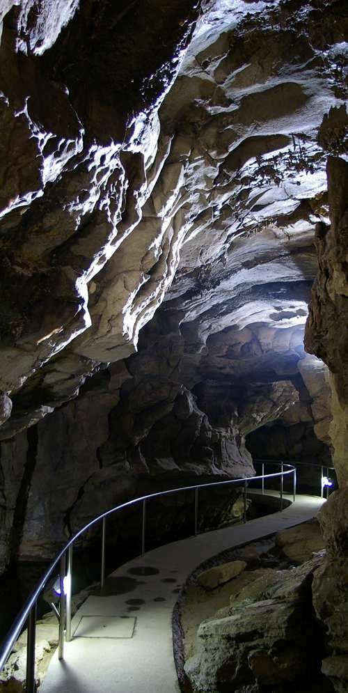 A téli időszak után március közepétől újból látogatható a Tettyei Mésztufa-barlang A téli szünetet követően március közepétől ismét nyitva tart Pécsett a Tettyei Mésztufa-barlang.