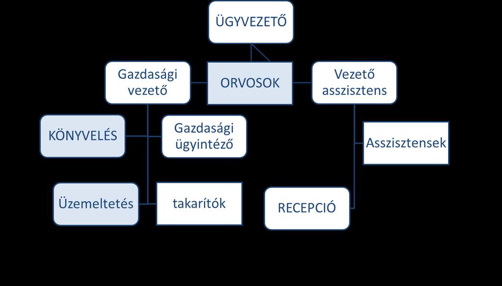 SZERVEZETI FELÉPÍTÉS EFI Projekt menedzser EFI-LEK Iroda SZEMÉLYI FELTÉLELEK Az Egészségház irányítása korábban más településekről zajlott, helyi vezetés nem volt.