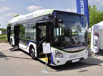 Igen jó tapasztalatokkal szolgálnak az újvidéki Feniksbus által Daily fosztott alvázra épített midibuszok, így ezekből már idén is többet beszereztek különböző sportegyesületek, illetve