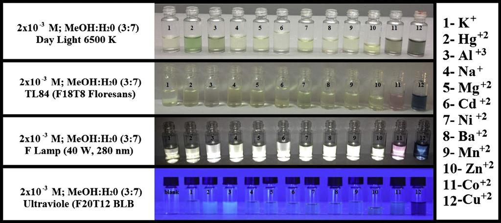 (For interpretation of the references to color in this figure legend, the reader is referred to the web version of this article.