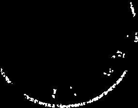 p V