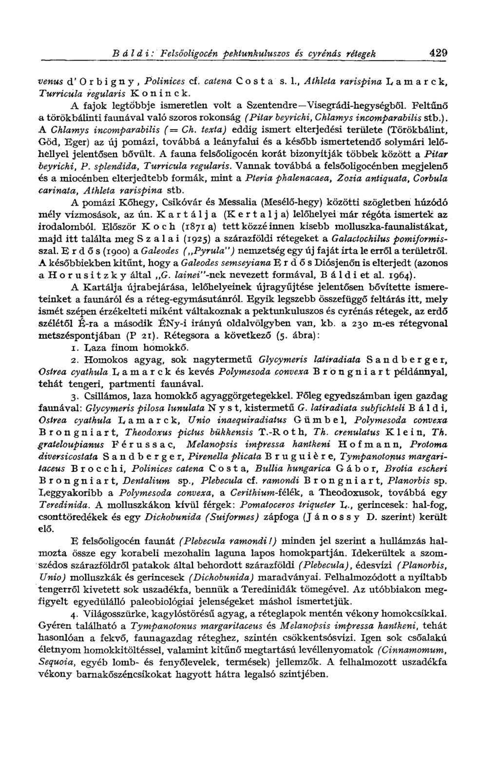 В ál d г : Felsőoligocén pektunkuluszos és cyrénás rétegek 429 venus d'orbigny, Polinices cf. catena Costa s. 1., Athleta rarispina Lamarck, Turricula reguláris Köninck.