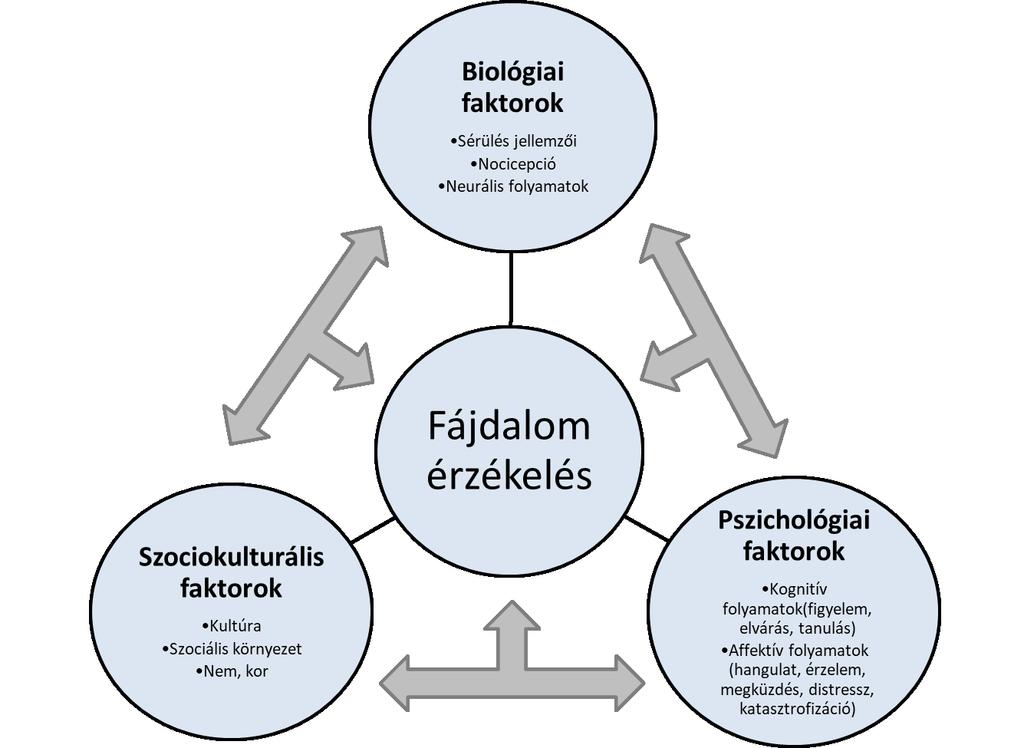 fájdalomérzet, a szenvedés, mint érzelmi válasz és a fájdalomviselkedés dimenzióit különíti el. Szerinte ezek a szintek lineárisan, egymásra épülve működnek és fejtik ki hatásukat.