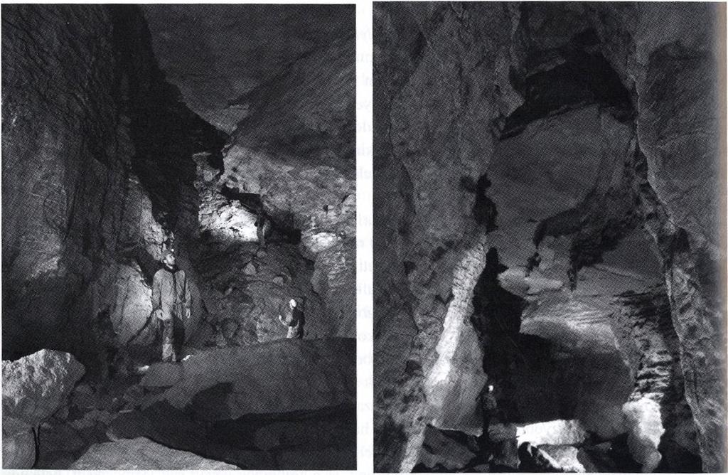 Minden egyes alkalommal több száz méter új járatot sikerült feltárni, és a méretek nagyon impozánsak voltak! így született a Referencia-ág, a Pecsétnyomó-ág és a Keselyű-ág.