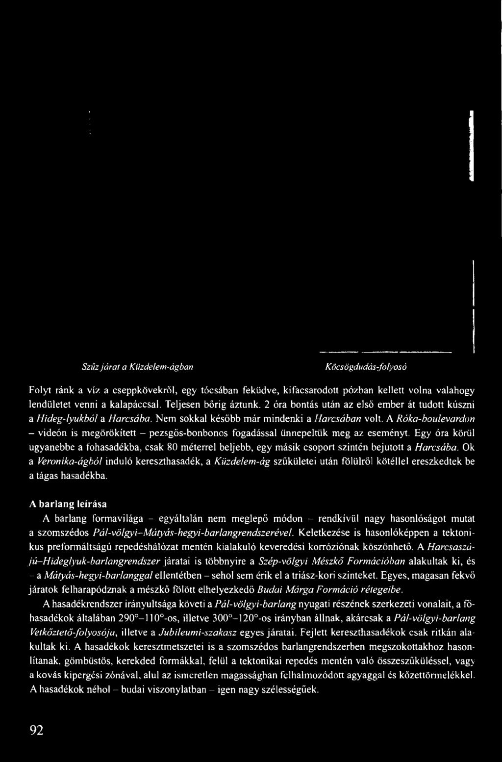 A Róka-boulevardon - videón is megörökített - pezsgős-bonbonos fogadással ünnepeltük meg az eseményt.