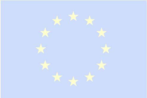 A kiberbiztonságról és védelemről szóló, 2012/2096(INI) Európai Parlamenti határozat Az Európai Unió kiberbiztonsági stratégiája: Nyílt,