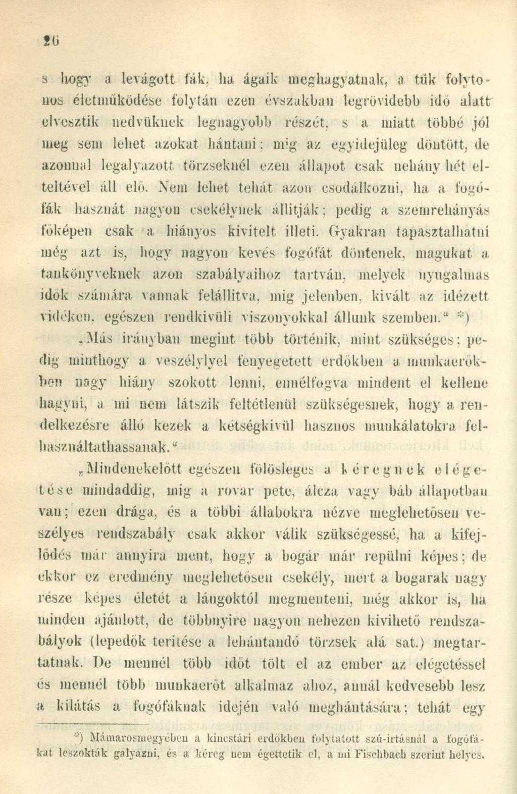 s liogy a levágott fák.