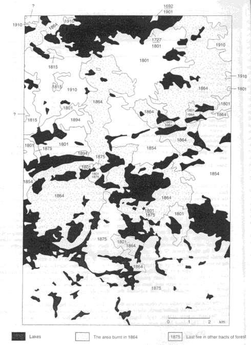 Erdődinamika a boreális régióban: meghatározó bolygatási elem a tűz Minnesotai erdő táj