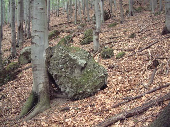 28-31 22-27 Oltár-kő-patak völgye Kőzetteléren