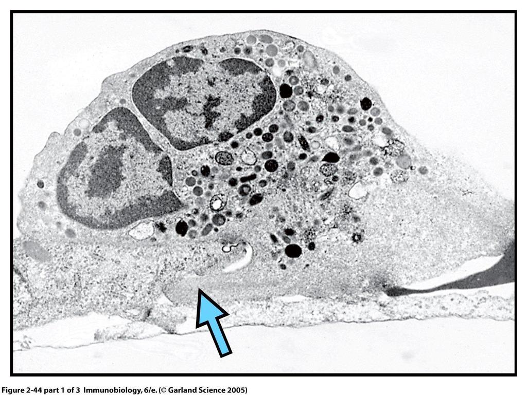 Figure 2-44